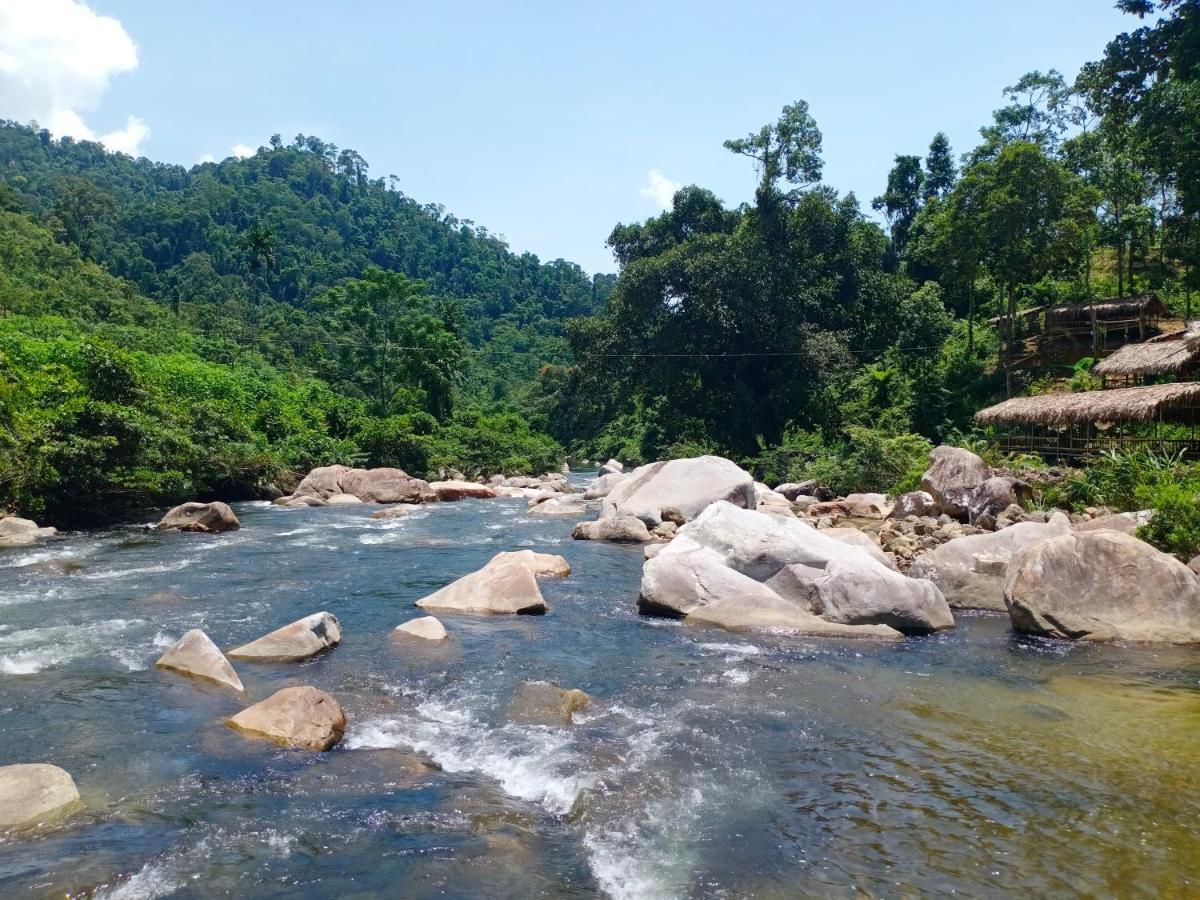 Gio Lao Eco Lodge - Dao Che Thanh Chuong Trai Do Eksteriør bilde